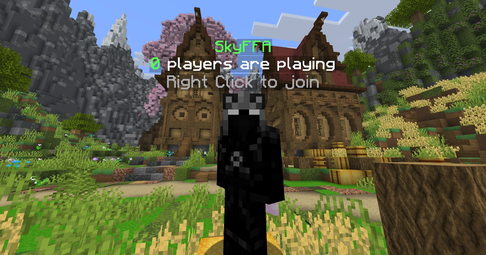 SkyFFA solo mode NPC in the server lobby
