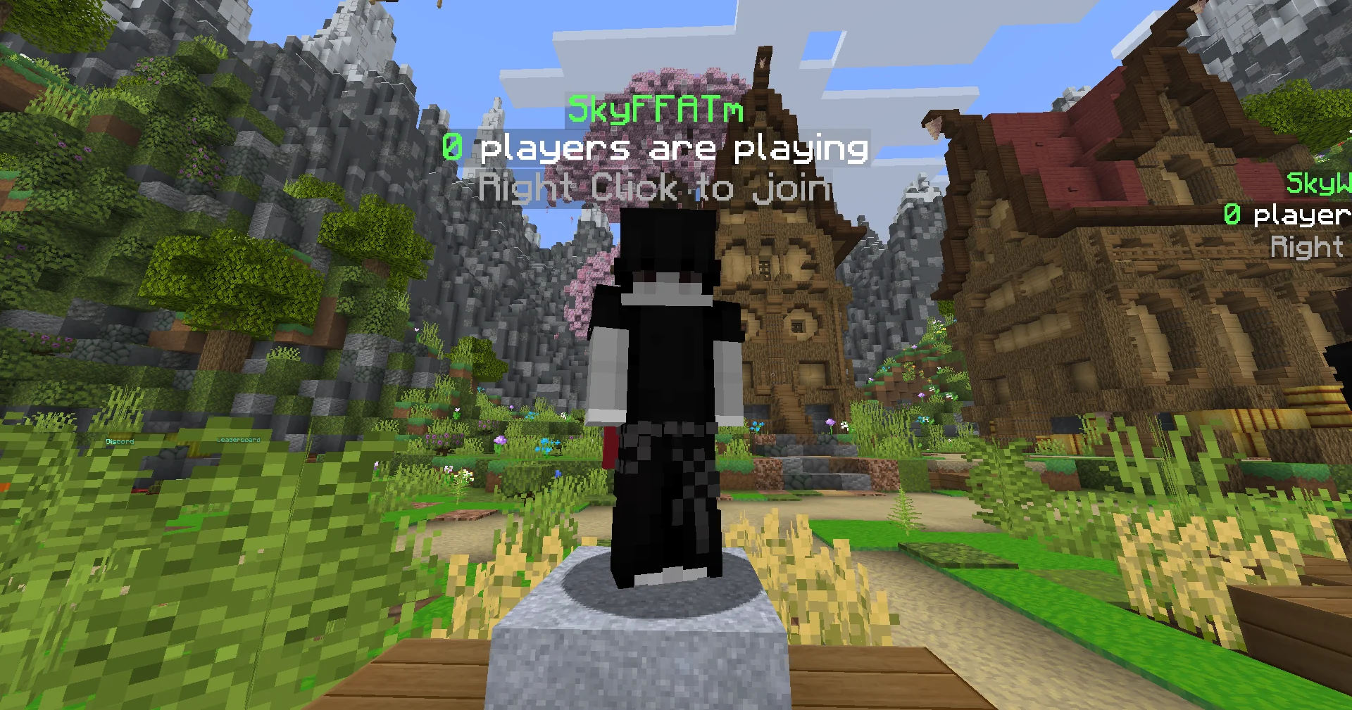 SkyFFA team mode NPC in the server lobby