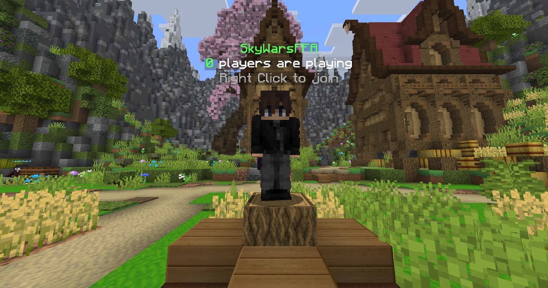 SkyWars FFA NPC in the server lobby